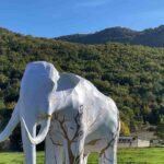 elefante e montagne verdi
