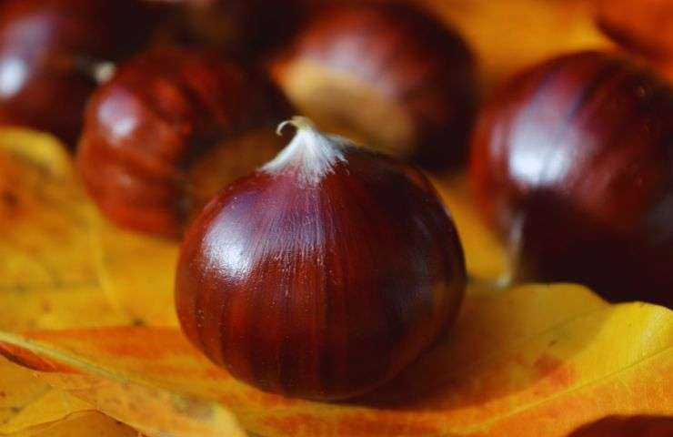 castagne