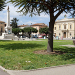 Silvi, rimozione di un pino sul lungomare: cosa sapere