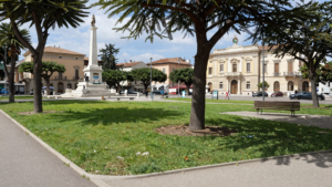 Silvi, rimozione di un pino sul lungomare: cosa sapere